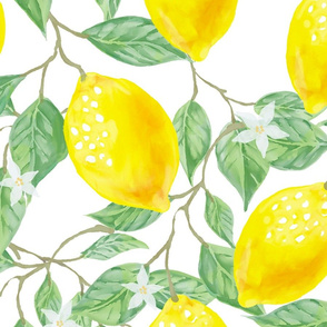 Citrus,lemons,summer,fruits pattern 