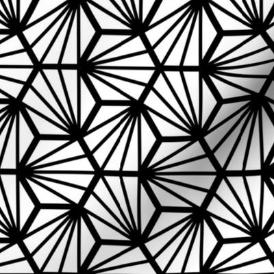 Geometric Pattern: Hexagon Ray: White Black