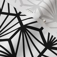 Geometric Pattern: Hexagon Ray: White Black