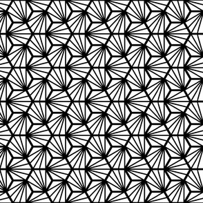 Geometric Pattern: Hexagon Ray: White Black