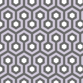 Geometric Pattern: Looped Hexagons: Suzanne Norr (standard version)