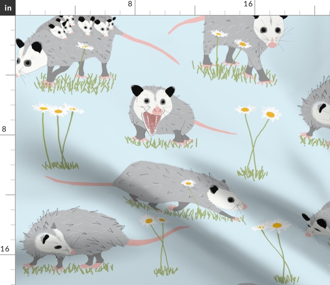 Opossums and Daisies Large Scale