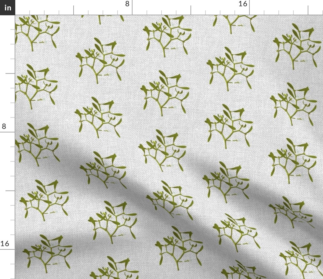 Mistletoe on light gray textured background