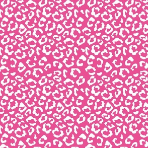 hot pink leopard