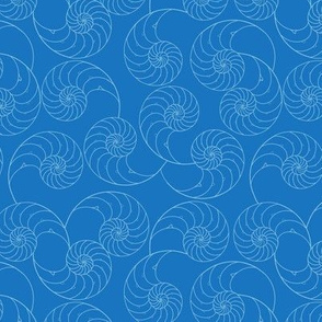 Nautilus shells blue