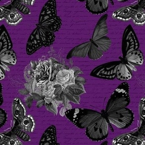 What the Butterflies have Written black and purple