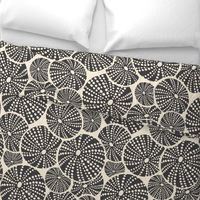 Bed Of Urchins - Nautical Sea Urchins - Ivory Charcoal Jumbo Scale 