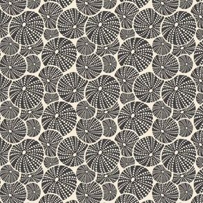 Bed Of Urchins - Nautical Sea Urchins - Ivory Charcoal Small Scale 
