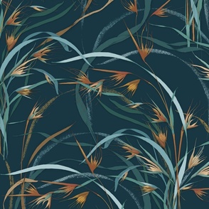 kangaroo grass LARGE