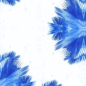 Sago Palm Starburst Bright Blue