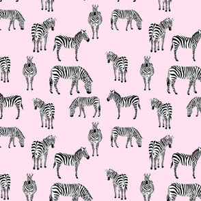 Zebras Hot Pink Sky