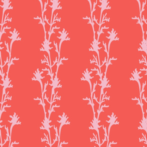 Seaweed Nouveau- Vines- Cotton Candy on Coral- Large Scale