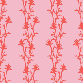 Seaweed Nouveau- Vines- Coral on Cotton Candy- Large Scale