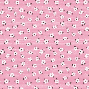 Dizzy Daisies on Pink-medium scale