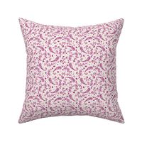 Paisley, floral Paisley, pinks, magenta