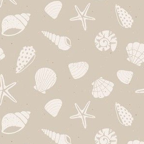 Small // Seashells on Summer Sand Beach Shells