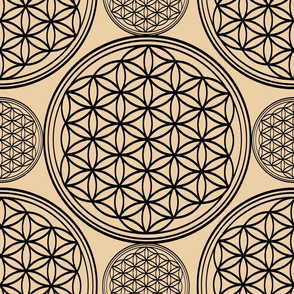 The flower of life ,geometric pattern 