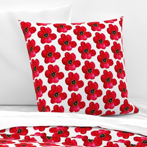 HOME_GOOD_EURO_PILLOW_SHAM