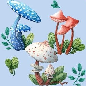 Forest Mushrooms Blue Sky
