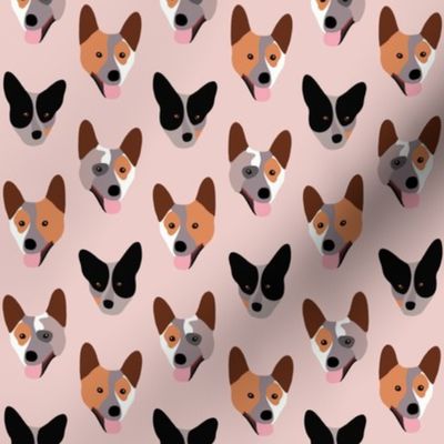 Cattle dogs pink