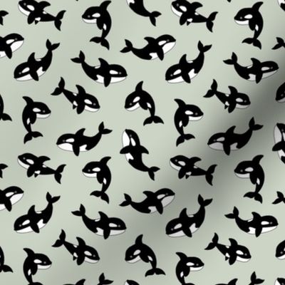 Little orca sea killer whale ocean adorable scandi style fish print for kids  black and white mist green 