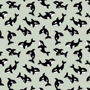 Little orca sea killer whale ocean adorable scandi style fish print for kids  black and white mist green 