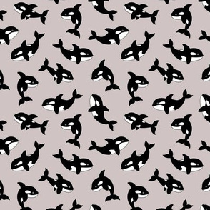 Little orca sea killer whale ocean adorable scandi style fish print for kids  black and white gray