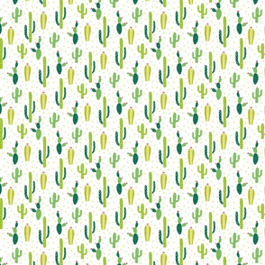 Green cactus