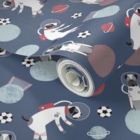 (Medium) Soccer dogs in space 