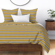 Washed Ashore Beachcomber Stripe - Ivory Multi Regular Scale