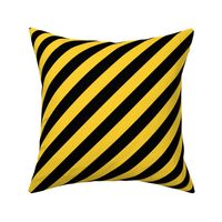 Badger Varsity Stripe, Yellow and Black