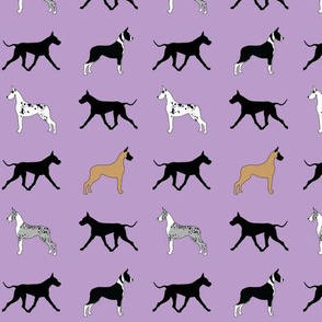 Great Danes in Pink