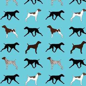 German Shorthaired Pointers in Light Blue