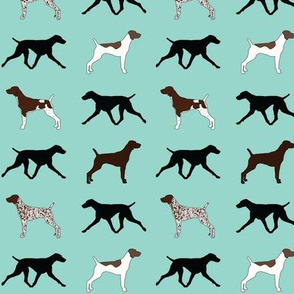 German Shorthaired Pointers in Mint