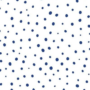 Blue and Silver Irregular Dot large 1
