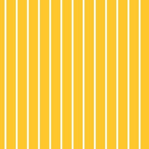 Maize Pin Stripe Pattern Vertical in White