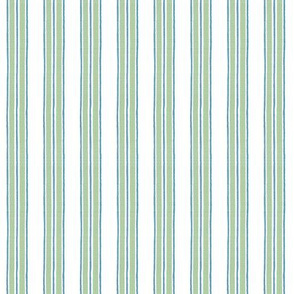 Navy Blue  and green Anderson Stripe