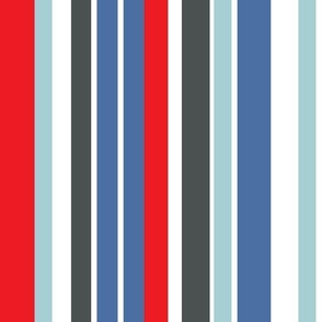 Patriotic Mod Stripe