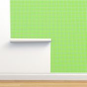 Smaller Scale Spring Green Watermelon Lime Gingham Checker