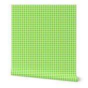 Smaller Scale Spring Green Watermelon Lime Gingham Checker