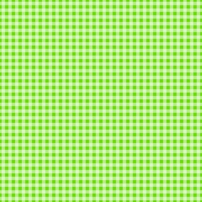 Smaller Scale Spring Green Watermelon Lime Gingham Checker