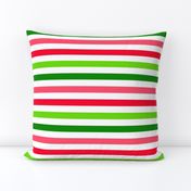 Bigger Scale Watermelon Vertical Stripes in Red Green Lime and Pink