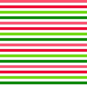 Bigger Scale Watermelon Vertical Stripes in Red Green Lime and Pink