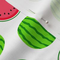 Bigger Scale Summer Watermelons