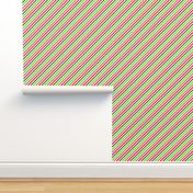 Smaller Scale Diagonal Watermelon Stripes in Red Green Pink Lime