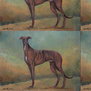 standing brindle greyhound
