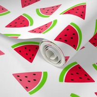 Bigger Scale Watermelon Slices