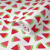 Smaller Scale Watermelon Slices