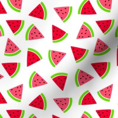 Smaller Scale Watermelon Slices