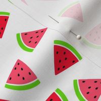 Smaller Scale Watermelon Slices